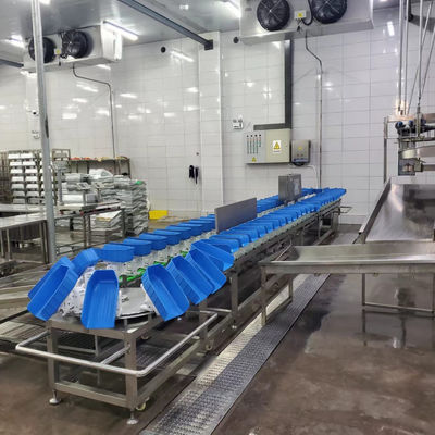 Plastikowa tacka Kurczak kaczka Kurczak pas Maszyna do sortowania wagi do rzeźni