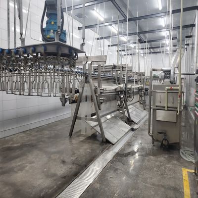 Linia przetwarzania rzeźni ze stali nierdzewnej 500 b/h 10000 b/h Sprzęt dla kurcząt