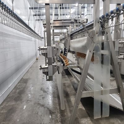 Maszyna do automatycznego uboju drobiu 500-1000 BPH Linia ubojowa kurczaków