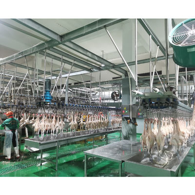 Produkcja urządzeń do przetwarzania mięsa drobiowego z funkcją pieczenia 380 V