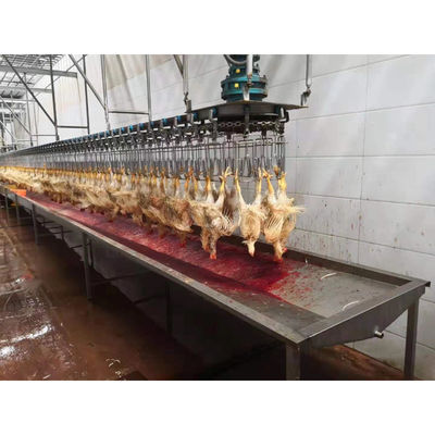 4000 kg automatyczna maszyna do uboju kurczaków kurczaków linii ubojowej SS 304