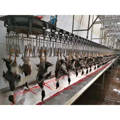 Linia produkcyjna na rzeź kurczaka ze stali nierdzewnej do różnych mocy produkcyjnych