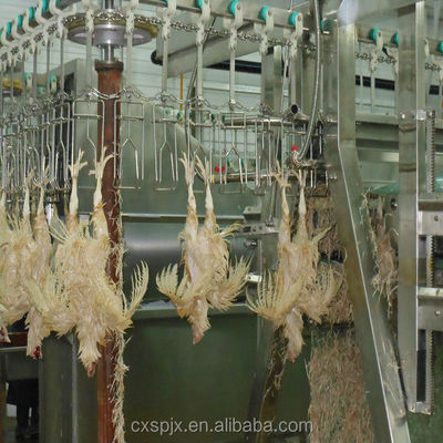 Maszyna do przetwarzania drobiu o napięciu 380V/220V do szlifowania kurczaków i uboju halal