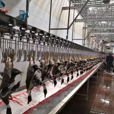 Certyfikat CE urządzenia do uboju drobiu kaczka linia ubojowa dla drobiu 600 kg