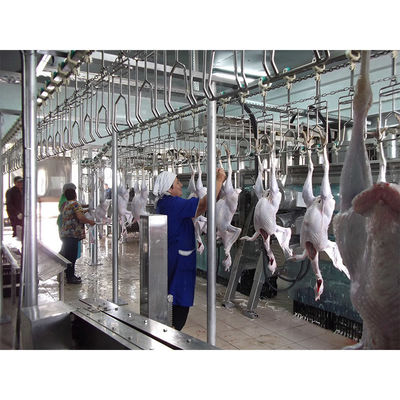 Linia przewozowa dla drobiu 200BPH - 10000BPH Pojemność dla gospodarstw