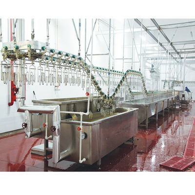 Urządzenia do uboju drobiu o wysokiej wydajności 220V / 380V dla kaczki 200 - 12000BPH