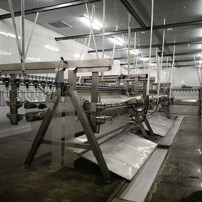 Dostosowany system uboju zwierząt hodowlanych o dużej pojemności 500-1000 ptaków / godzinę