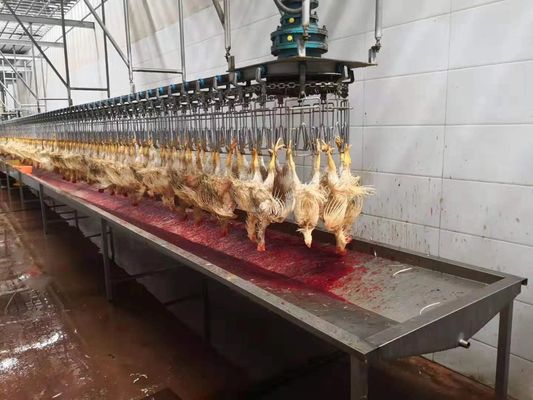 1000 kurczaków na godzinę Bph Kompletna mini linia przetwórstwa drobiu