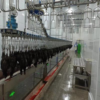 Automatyczna Halal Maszyna do uboju drobiu 500 bph Maszyna do wybierania kurczaków