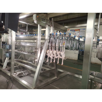 200BPH 300BPH 500BPH Automatyczne zabijanie cięcia gęsi kaczka kurczak rzeźnia ubojowa linia przetwórcza system maszyny