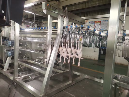 2000bph China Automatyczny Zakład Przetwarzania Kurczaków Nowy stan Sprzęt ubojowy Wykonany z stalowej linii ubojowej dla drobiu