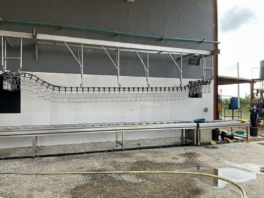 Halal Certyfikowana Linia przetwarzania drobiu o wysokiej wydajności pod klucz dla 1000 ptaków na godzinę